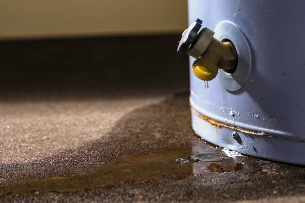 Best Basement water damage restoration  in Grayson, GA