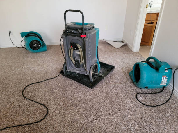 Best Water damage restoration near me  in Grayson, GA
