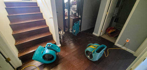 Best Water damage restoration insurance claims  in Grayson, GA