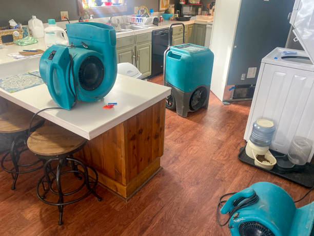 Best Water damage restoration near me  in Grayson, GA