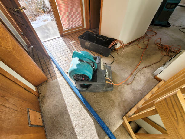 Best Commercial water damage restoration  in Grayson, GA