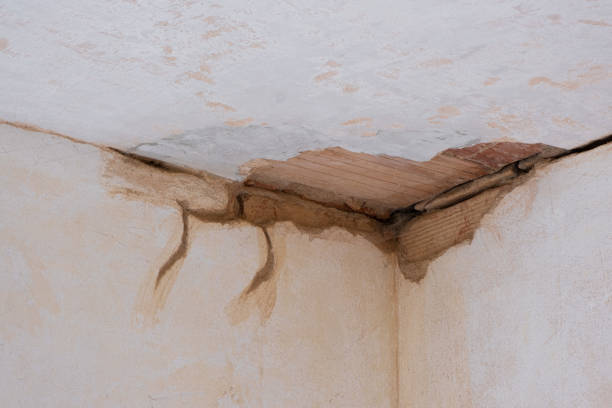 Best Water damage contractors near me  in Grayson, GA