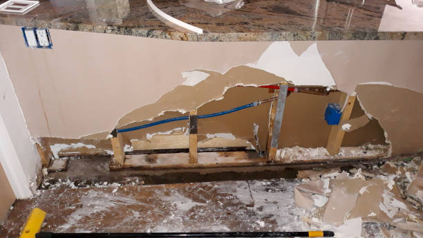 Best Water damage contractors near me  in Grayson, GA