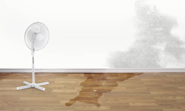 Best Professional water damage repair  in Grayson, GA