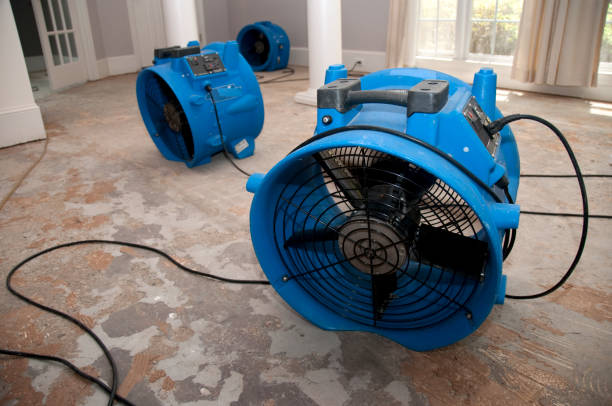 Water damage restoration insurance claims in Grayson, GA