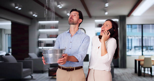 Best Ceiling water damage repair  in Grayson, GA